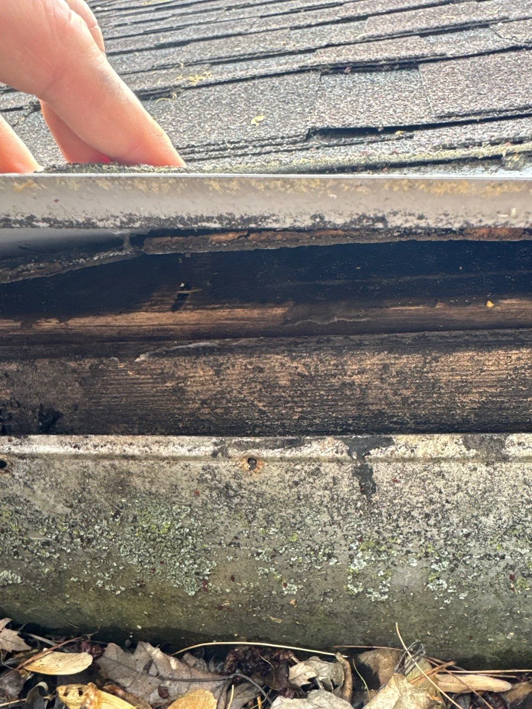 Ponding Water on Flat Roofs: Causes and Fixes for Eagle Trace Buildings